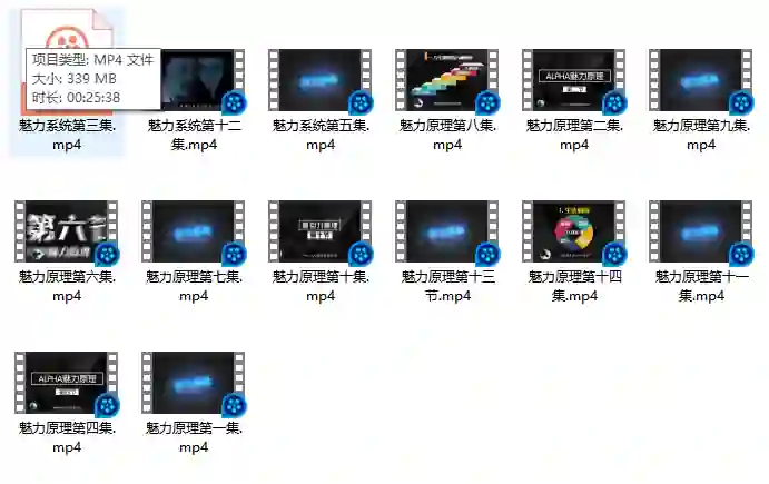 柯李思Chris良叔《魅力原理》实战指南|限时揭秘专属魅力公式-美库-图集网站地址【共享会员账号】