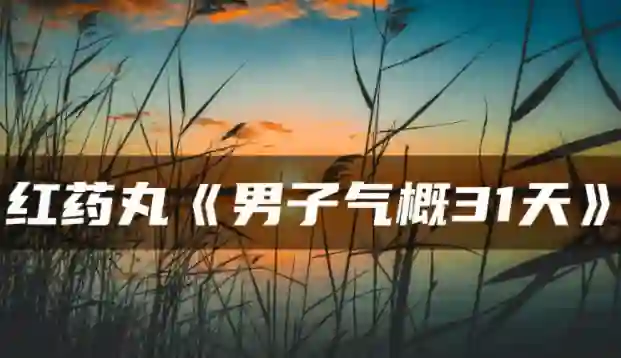 红色药丸《男子气概31天》实战指南：限时揭秘专属成长路径-美库-图集网站地址【共享会员账号】