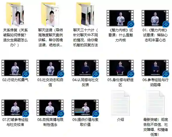 《魅力内核》实战指南:揭秘你的强力状态引擎,限时解锁情感教育专属力-美库-图集网站地址【共享会员账号】