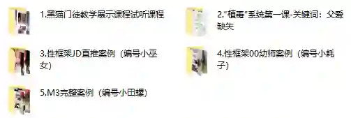 黑猫门徒核心课实战指南:限时揭秘专属成长路径-美库-图集网站地址【共享会员账号】