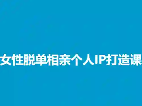 蓝冰《女性脱单相亲个人IP打造课》实战指南|限时揭秘专属变现路径-美库-图集网站地址【共享会员账号】