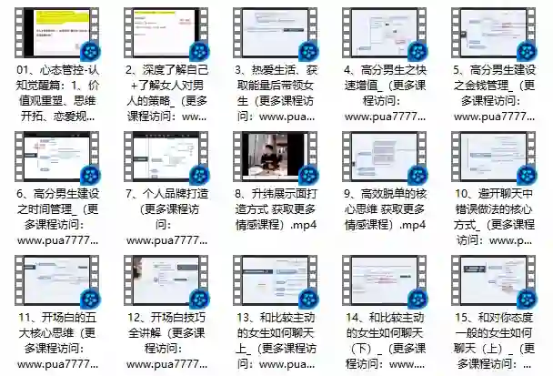 大橙2.0实战指南：重开计划限时揭秘+专属启动包-美库-图集网站地址【共享会员账号】