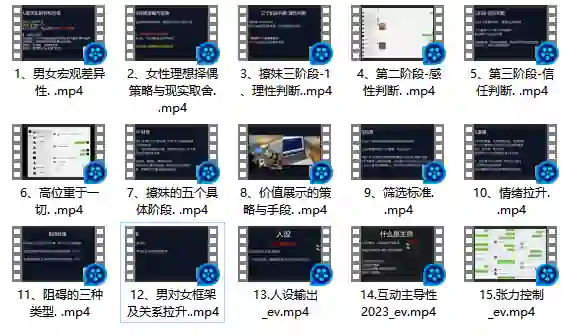 Leon情感5.0实战指南:限时揭秘专属情感提升术-拆界研习社