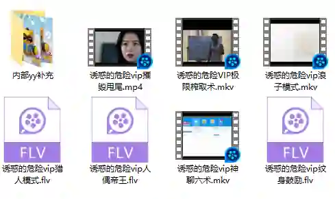 图片[1]-诱惑的危险VIP内部实战指南｜限时揭秘专属版本-美库-图集网站地址【共享会员账号】