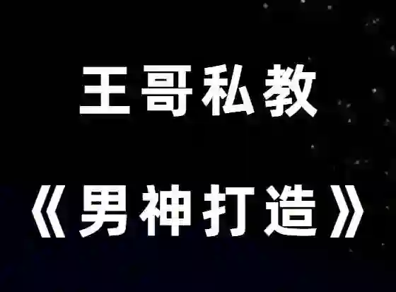 图片[2]-王哥私教课V3.0｜实战情感指南·限时解锁专属成长秘籍-美库-图集网站地址【共享会员账号】