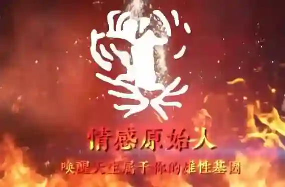 火种情感《情感原始人》实战指南：揭秘原始吸引力法则-美库-图集网站地址【共享会员账号】